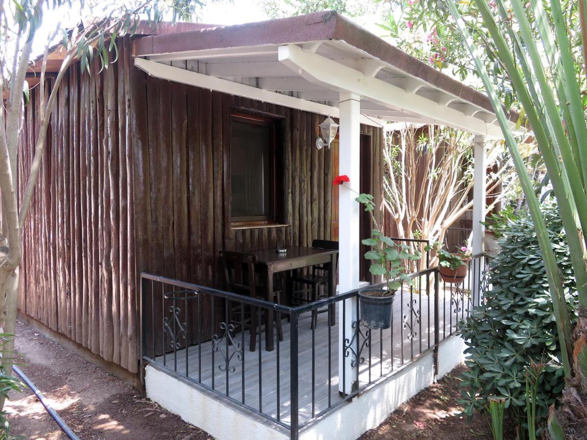 Arriba Pension & Restaurant Gümüşlük Exterior foto