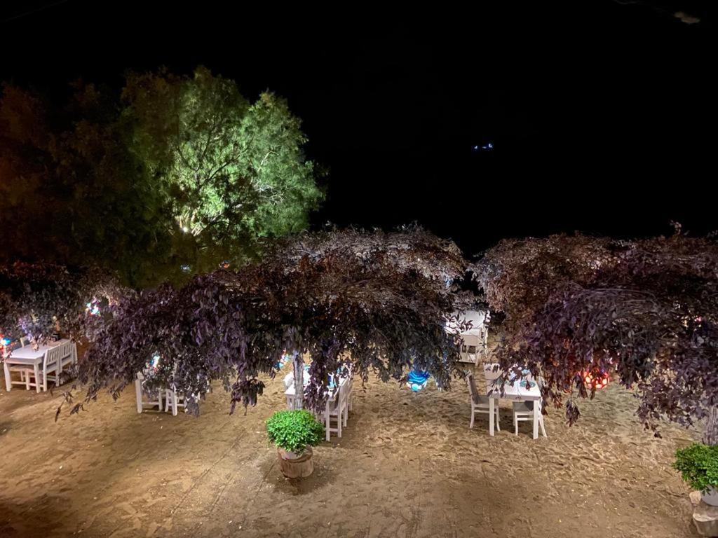 Arriba Pension & Restaurant Gümüşlük Exterior foto