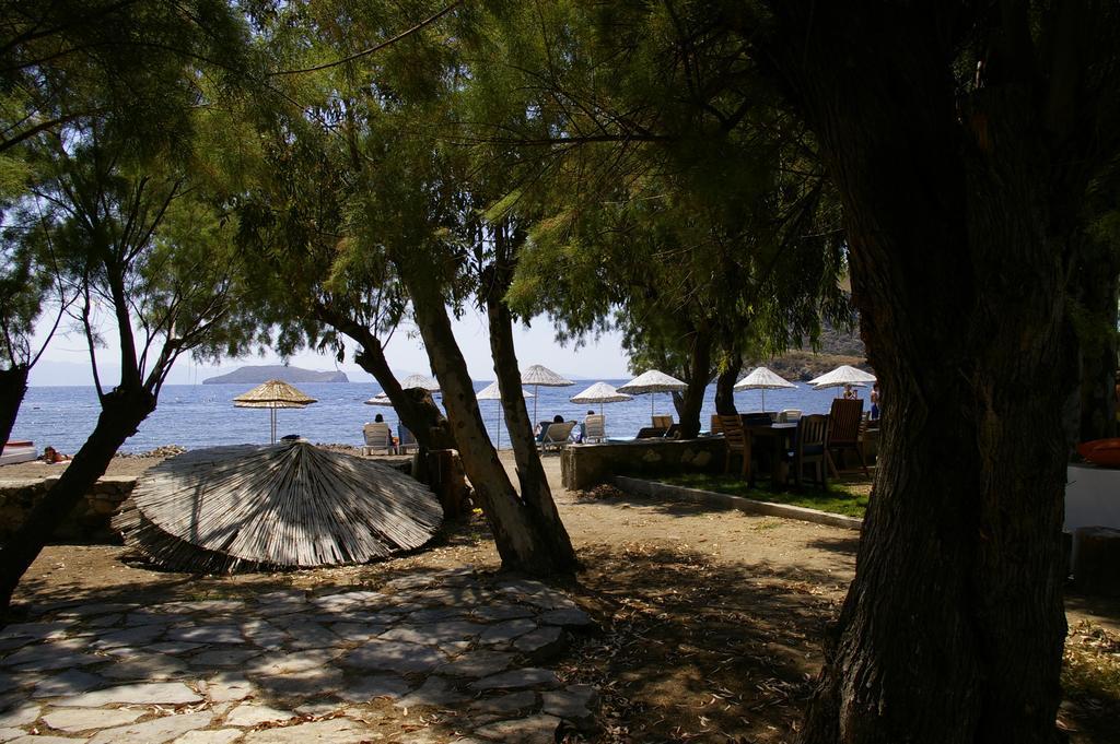 Arriba Pension & Restaurant Gümüşlük Exterior foto